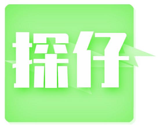 探仔