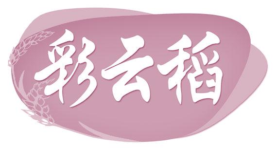 彩云稻