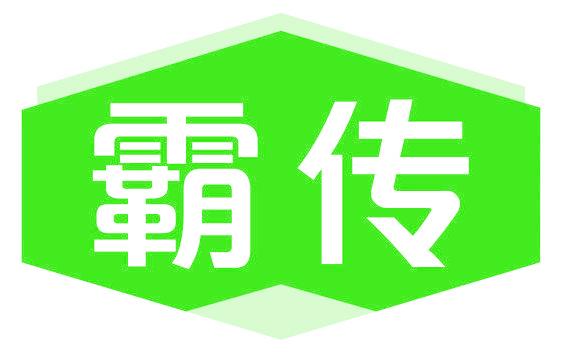 霸传