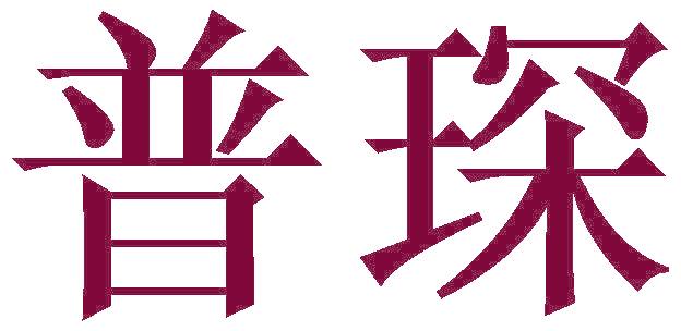 普琛
