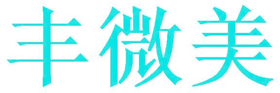 丰微美