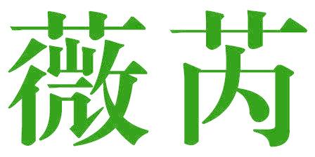 薇芮
