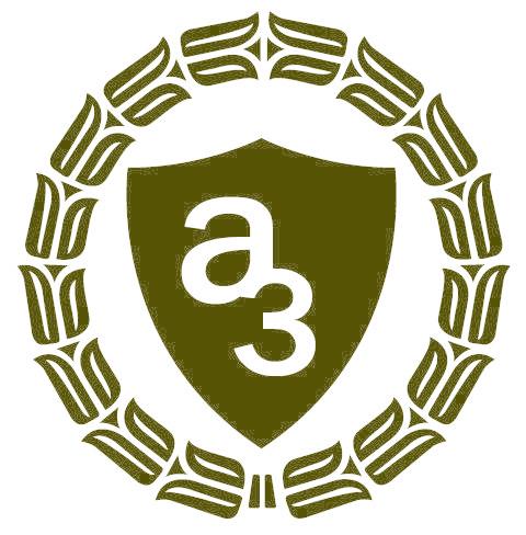 A 3