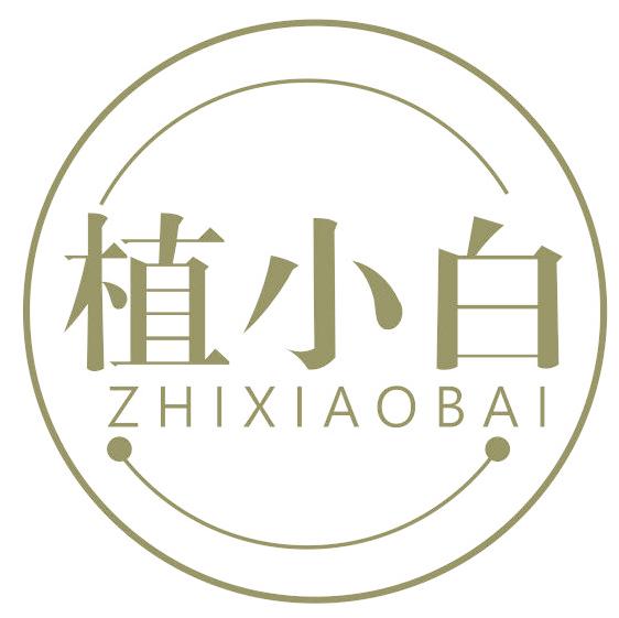 植小白