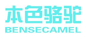 本色骆驼 BENSECAMEL