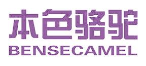 本色骆驼 BENSECAMEL
