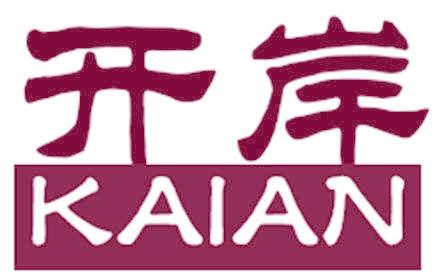 开岸