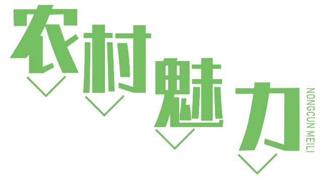 农村魅力