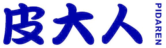皮大人