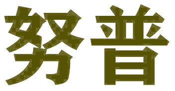 努普