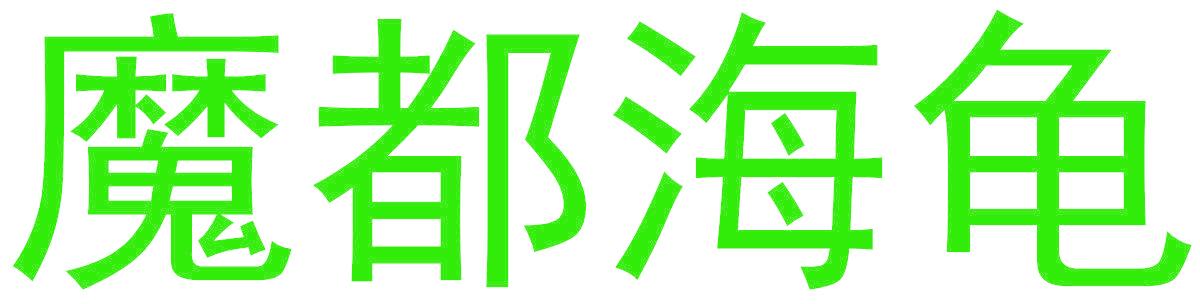 魔都海龟