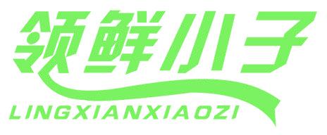 领鲜小子