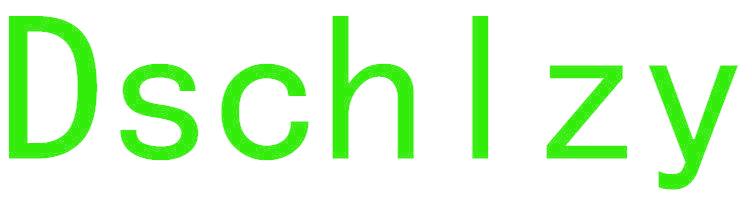 DSCHLZY