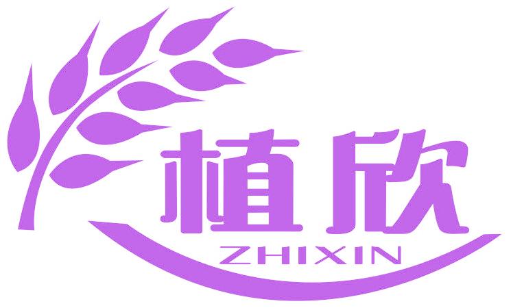 植欣
