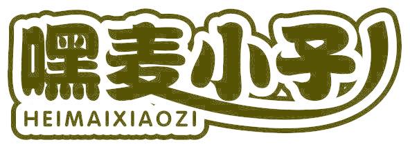 嘿麦小子