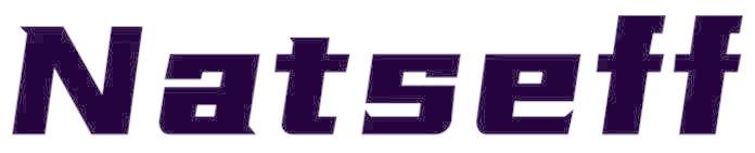 NATSEFF