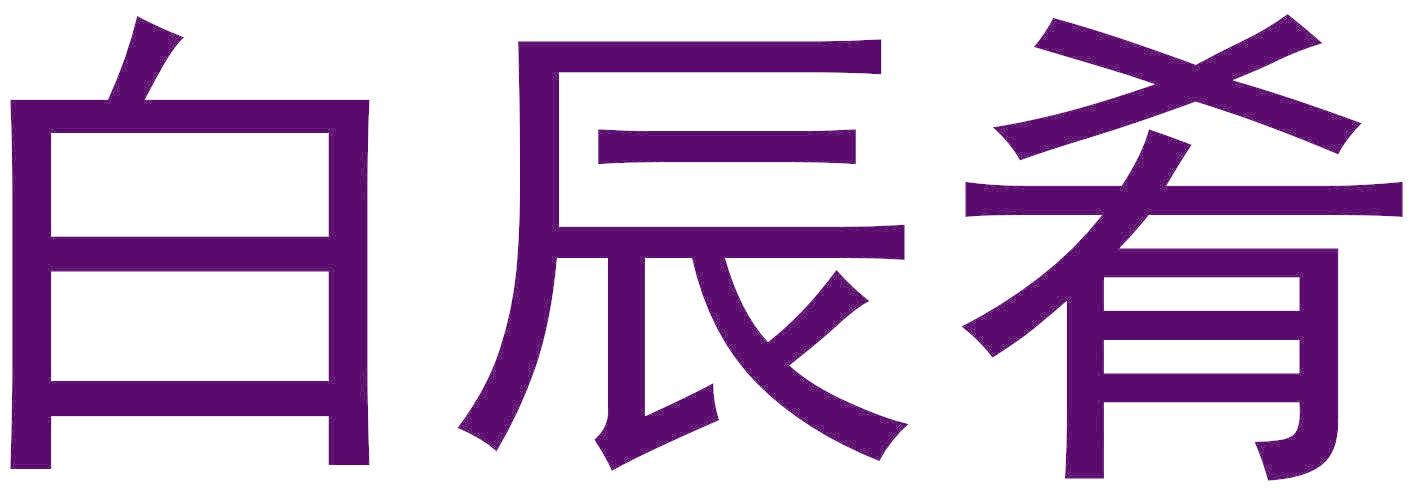 白辰肴