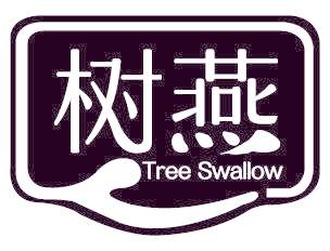 树燕 TREE SWALLOW