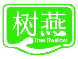 树燕 TREE SWALLOW