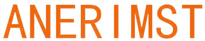 ANERIMST