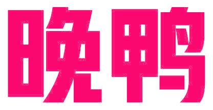 晚鸭