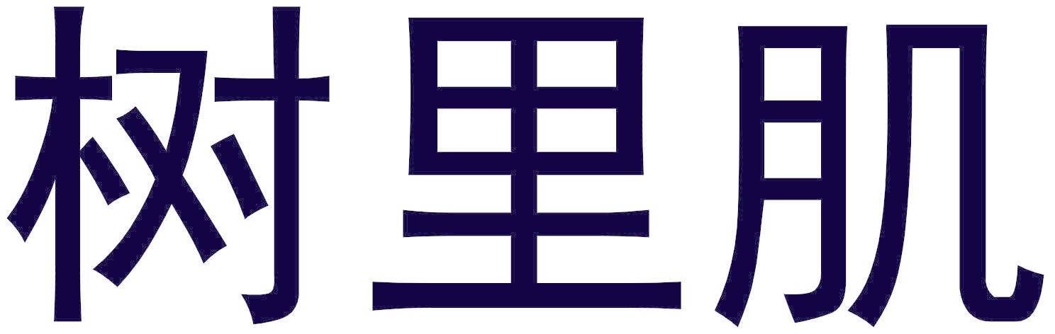 树里肌