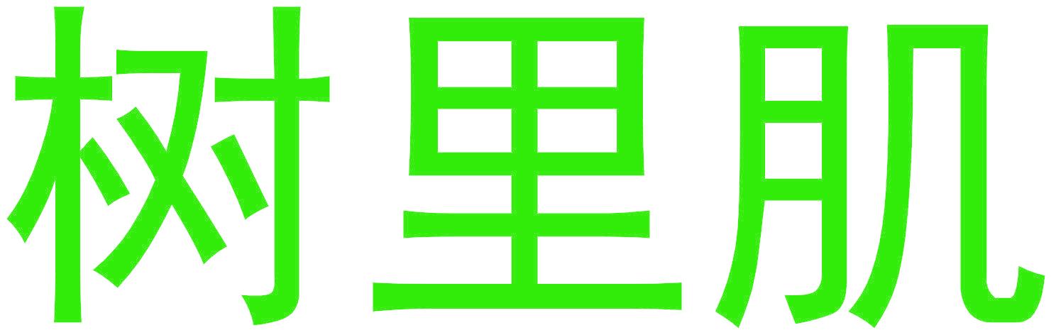 树里肌