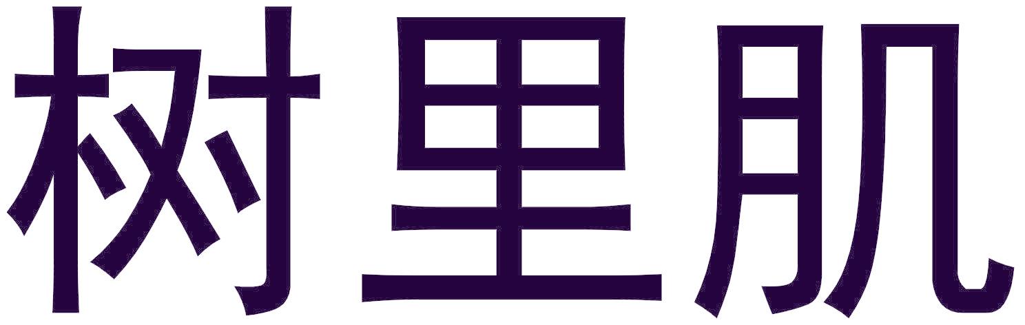 树里肌