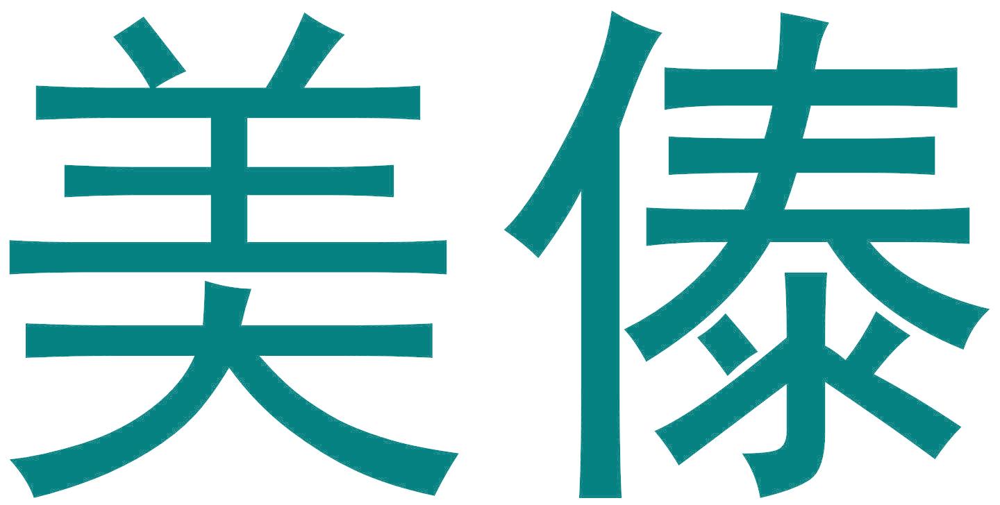 美傣