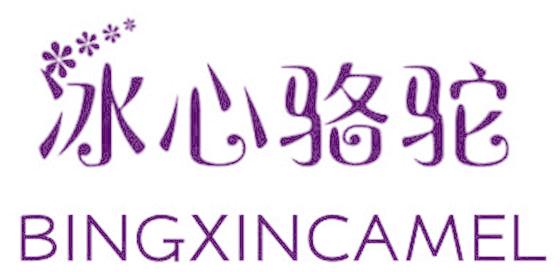 冰心骆驼 BINGXINCAMEL