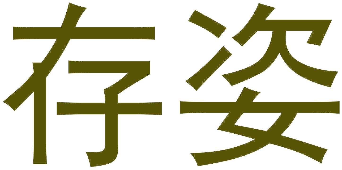 存姿