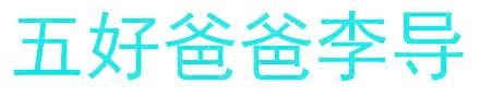 五好爸爸李导