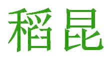 稻昆