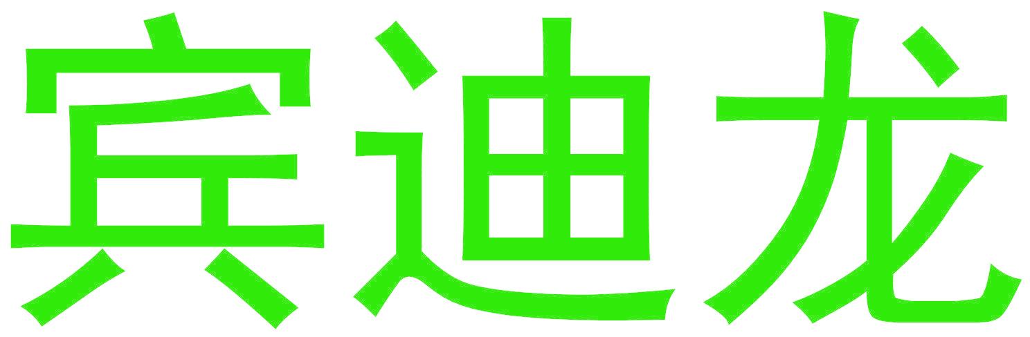 宾迪龙
