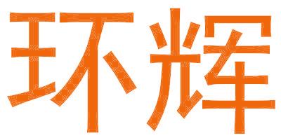 环辉
