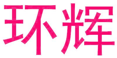環(huán)輝