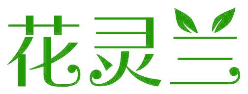 花灵兰