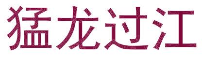 猛龙过江