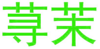 荨茉