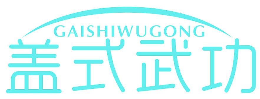 盖式武功