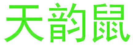 天韵鼠