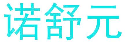 诺舒元