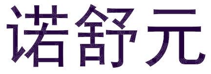诺舒元