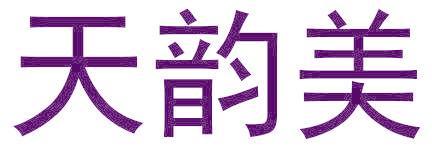 天韵美