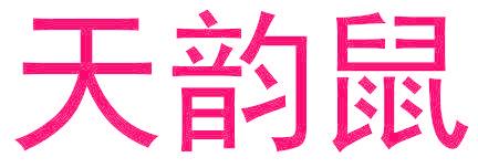 天韵鼠