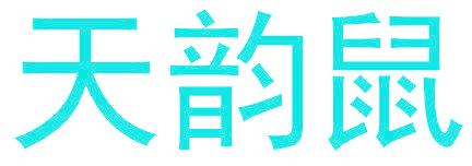 天韵鼠