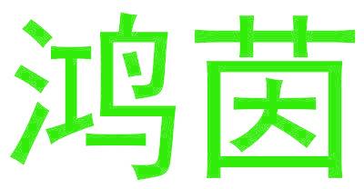 鸿茵