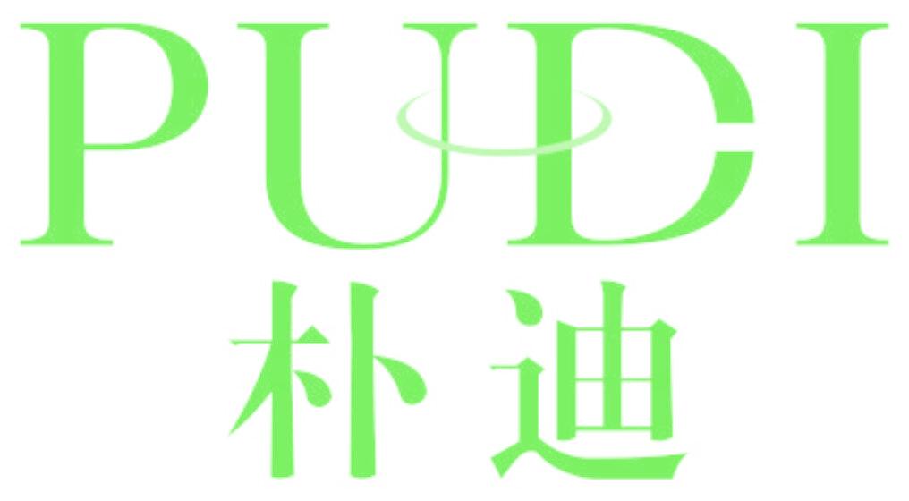 朴迪