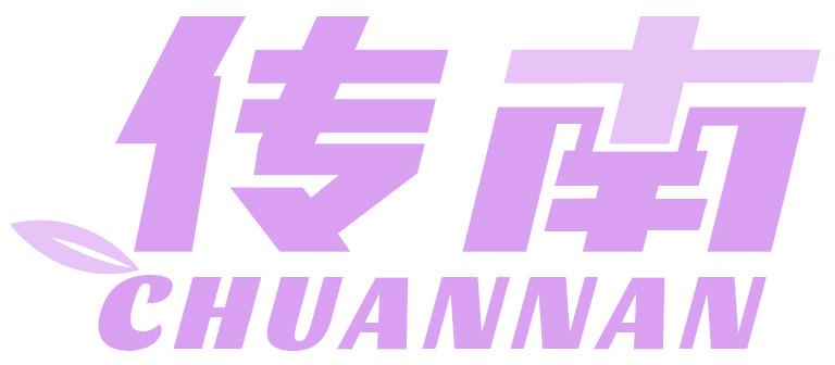 传南