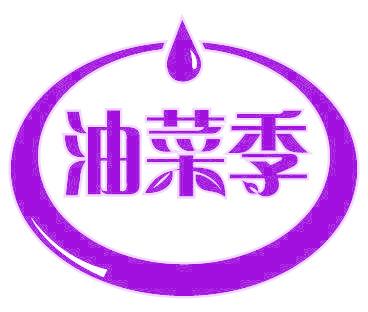 油菜季